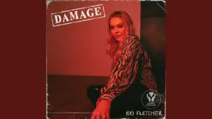Bri Fletcher - Damage Lyrics